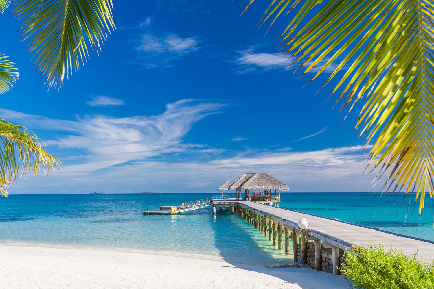 bahamas charter flights