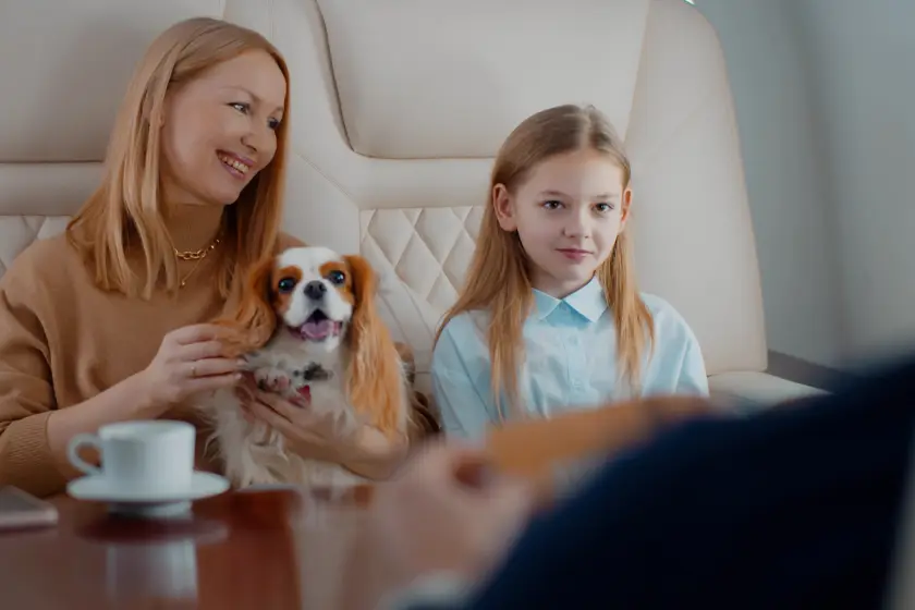 private plane travel with pets