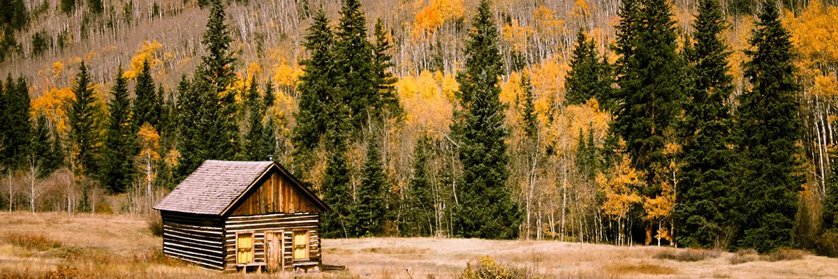 fall cabin