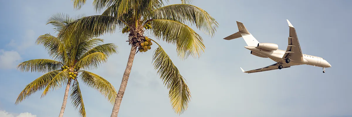 private jet over palm trees